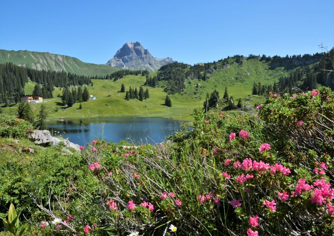 Sommerurlaub | Familienurlaub