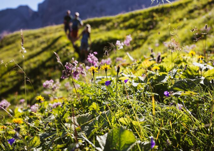 Sommerurlaub | Wanderurlaub