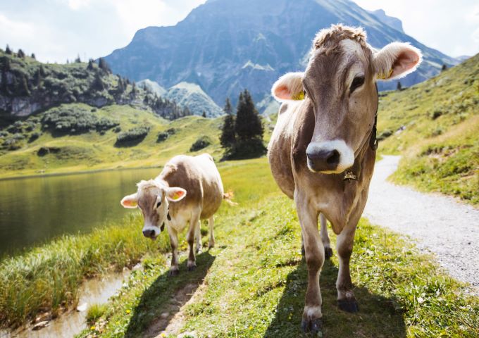 Sommerurlaub | Wanderurlaub