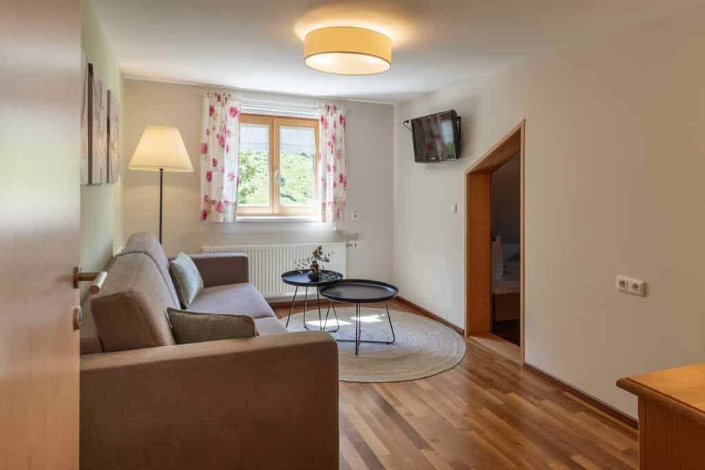 Wohnbereich im Apartment Edelweiß